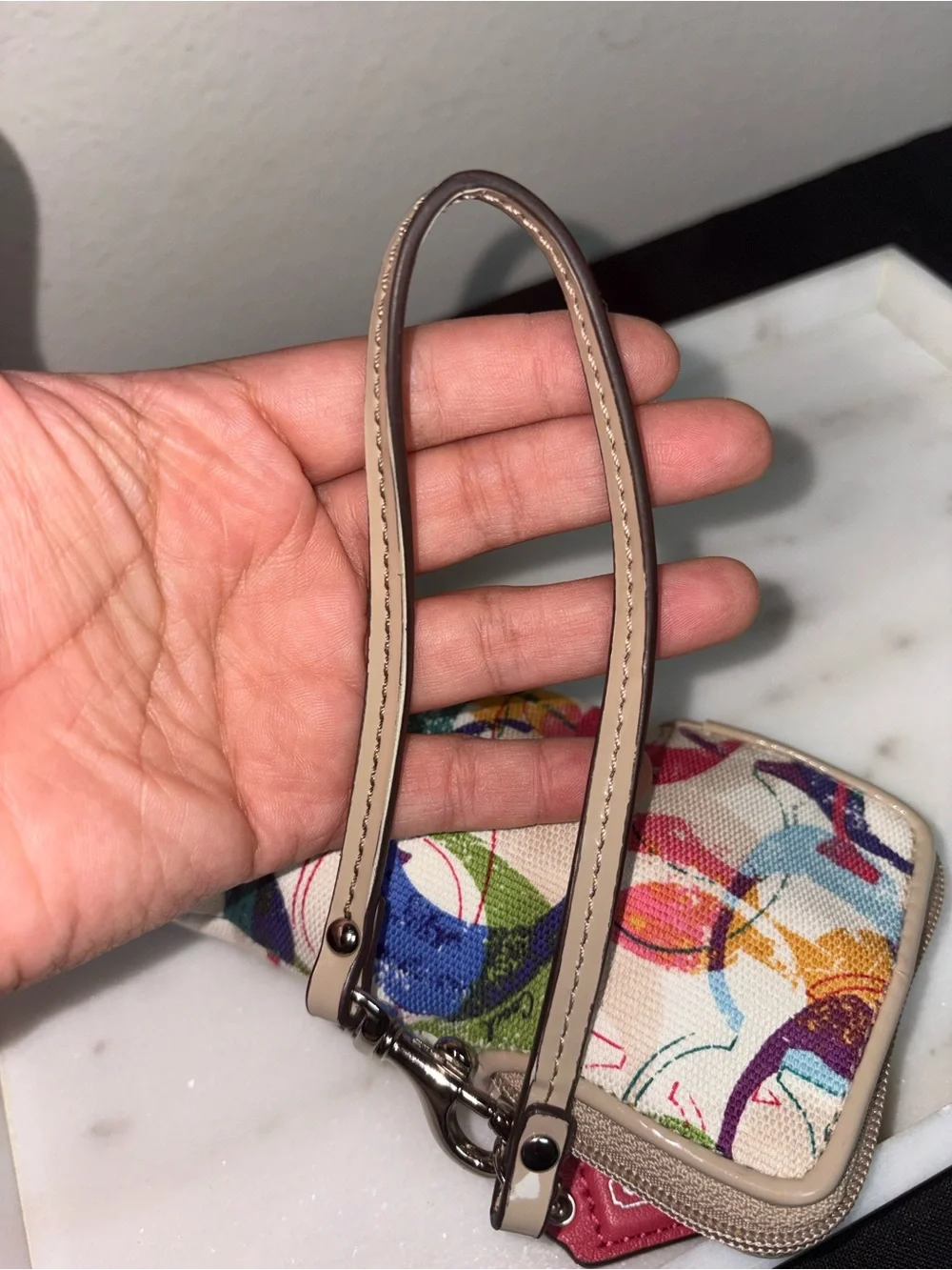 COACH Poppy Graffiti Multicolor Signature Canvas Wristlet Phone Case Camera Bag